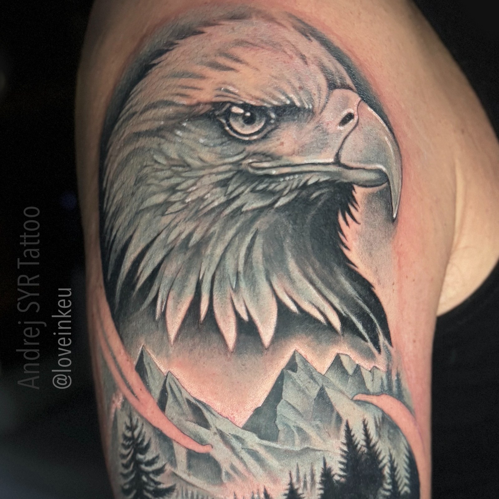 Andrej Syr darbas — True Tattoo